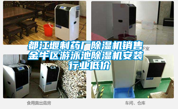 欧美黄色性爱视频网站 都江堰制药厂除湿机销售 金牛区游泳池除湿机安装 行业低价