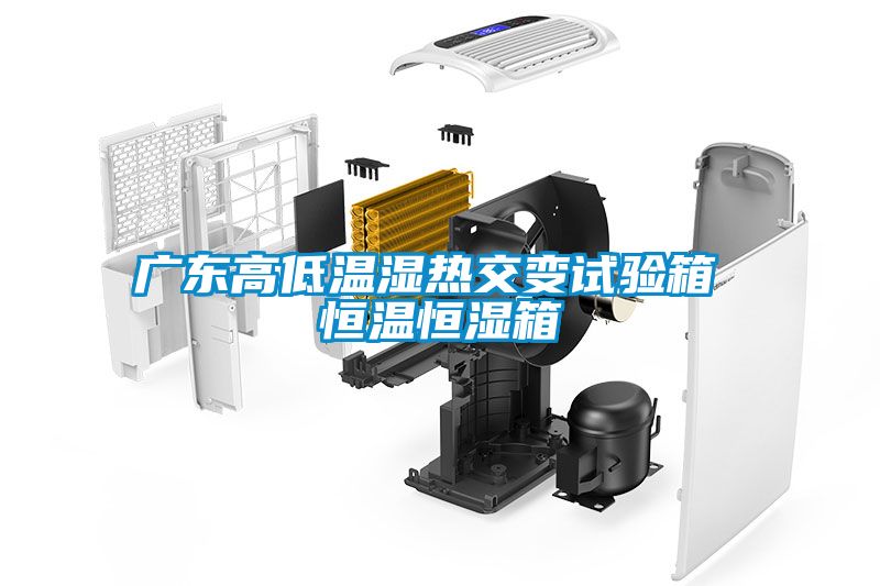 欧美成色手机在线观看 广东高低温湿热交变试验箱 恒温恒湿箱