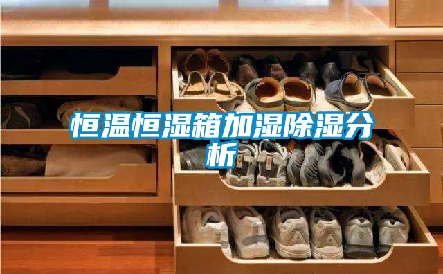 欧美黄色性爱视频网站 恒温恒湿箱加湿除湿分析