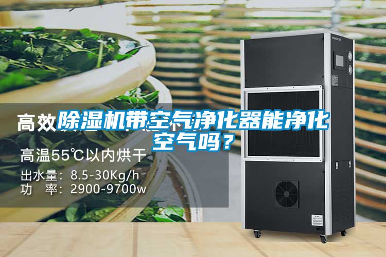 欧美成色手机在线观看 除湿机带空气净化器能净化空气吗？