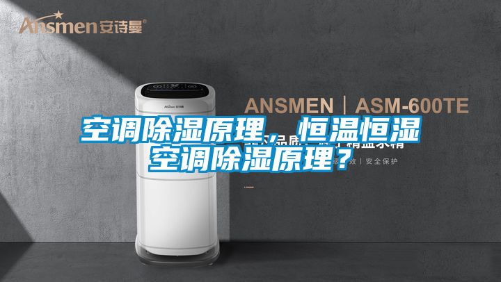 欧美黄色性爱视频网站 空调除湿原理，恒温恒湿空调除湿原理？