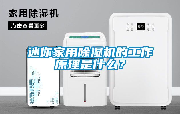 欧美黄色电影在线播放 迷你家用除湿机的工作原理是什么？