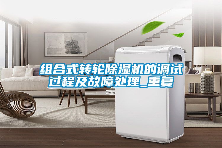 欧美成色手机在线观看 组合式转轮除湿机的调试过程及故障处理_重复
