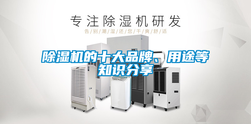 欧美黄色性爱视频网站 除湿机的十大品牌、用途等知识分享