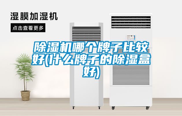 欧美黄色电影在线播放 除湿机哪个牌子比较好(什么牌子的除湿盒好)