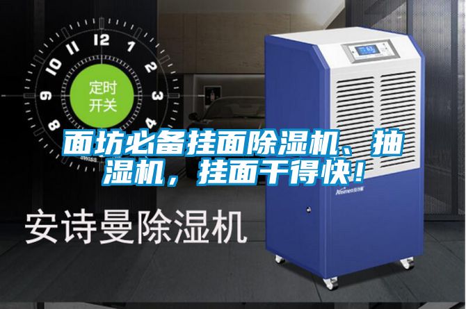 欧美黄色电影在线播放 面坊必备挂面除湿机、抽湿机，挂面干得快！