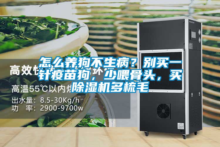 欧美黄色性爱视频网站 怎么养狗不生病？别买一针疫苗狗，少喂骨头，买除湿机多梳毛