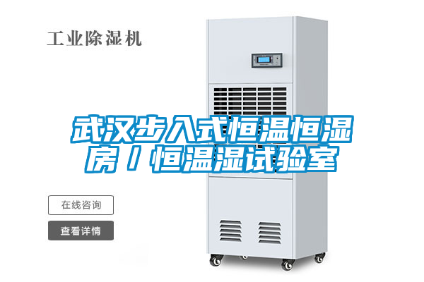 欧美黄色电影在线播放 武汉步入式恒温恒湿房／恒温湿试验室