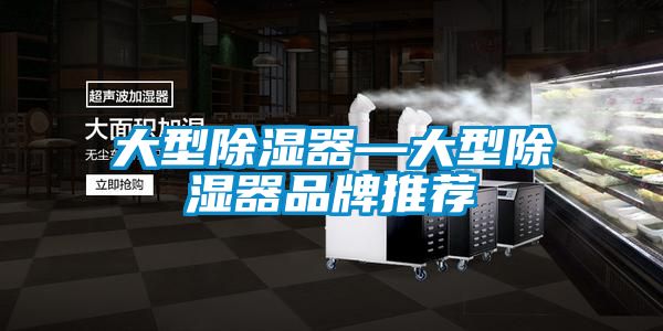 欧美黄色性爱视频网站 大型除湿器—大型除湿器品牌推荐