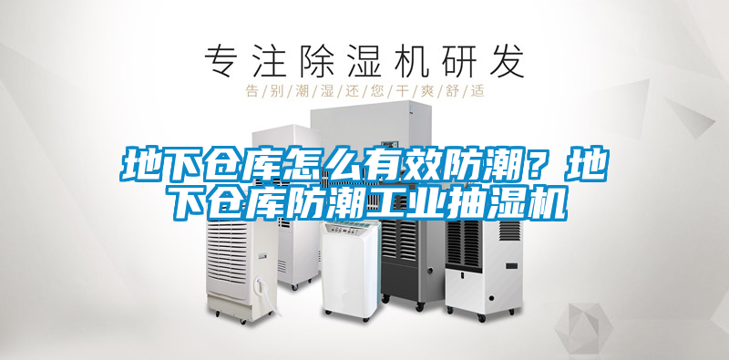 欧美成色手机在线观看 地下仓库怎么有效防潮？地下仓库防潮工业抽湿机