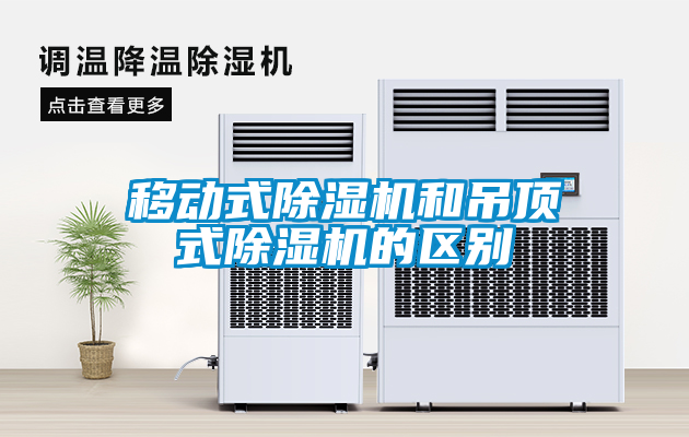 欧美成色手机在线观看 移动式除湿机和吊顶式除湿机的区别