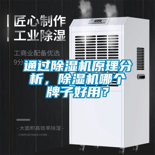 欧美成色手机在线观看 通过除湿机原理分析，除湿机哪个牌子好用？