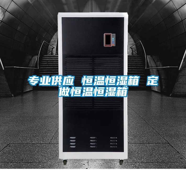 欧美黄色性爱视频网站 专业供应 恒温恒湿箱 定做恒温恒湿箱