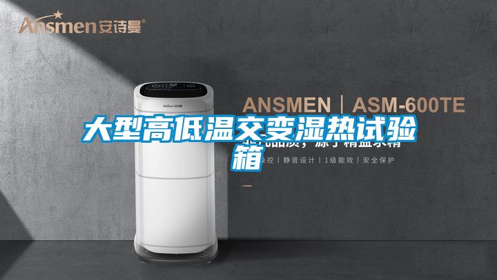 欧美黄色性爱视频网站 大型高低温交变湿热试验箱