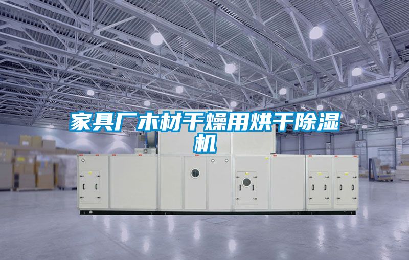 欧美黄色电影在线播放 家具厂木材干燥用烘干除湿机