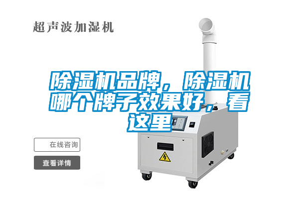 欧美黄色性爱视频网站 除湿机品牌，除湿机哪个牌子效果好，看这里