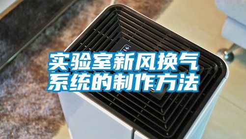 欧美黄色性爱视频网站 实验室新风换气系统的制作方法