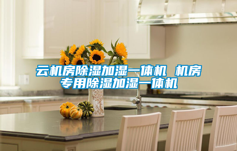 欧美成色手机在线观看 云机房除湿加湿一体机 机房专用除湿加湿一体机