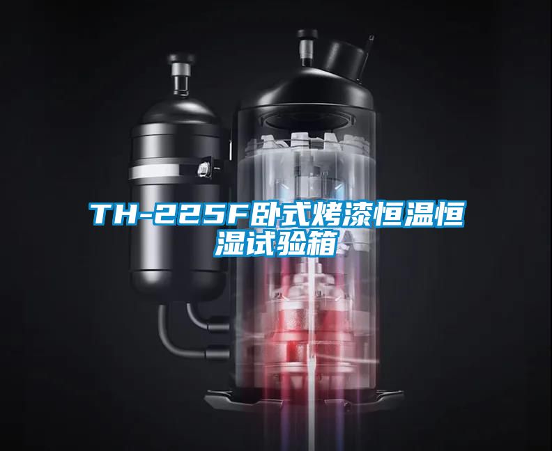 欧美黄色性爱视频网站 TH-225F卧式烤漆恒温恒湿试验箱