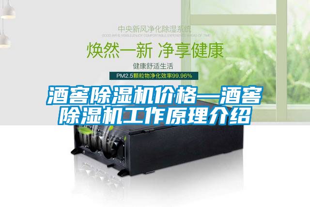 欧美黄色性爱视频网站 酒窖除湿机价格—酒窖除湿机工作原理介绍