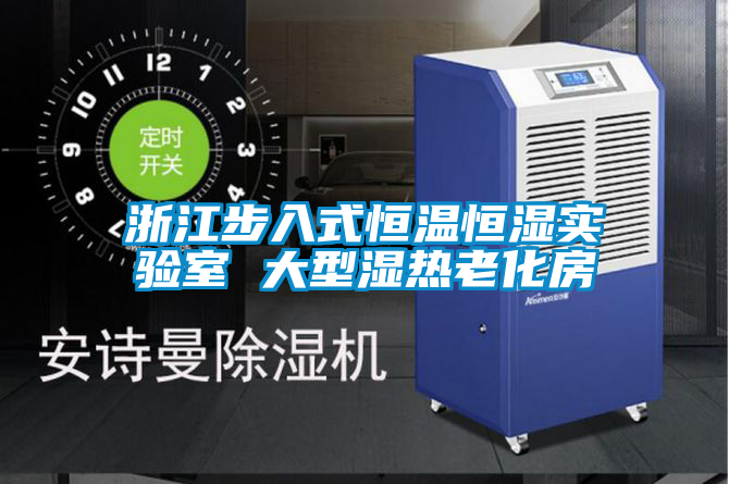 欧美成色手机在线观看 浙江步入式恒温恒湿实验室 大型湿热老化房