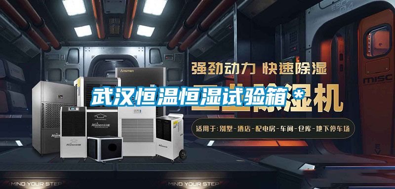欧美黄色电影在线播放 武汉恒温恒湿试验箱＊
