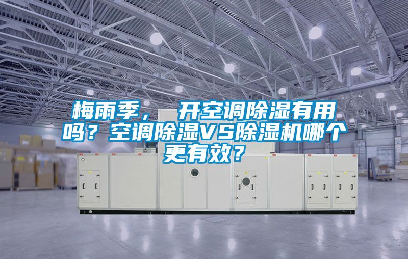 欧美成色手机在线观看 梅雨季， 开空调除湿有用吗？空调除湿VS除湿机哪个更有效？