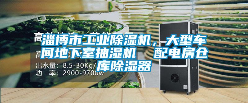 欧美黄色性爱视频网站 淄博市工业除湿机，大型车间地下室抽湿机  配电房仓库除湿器