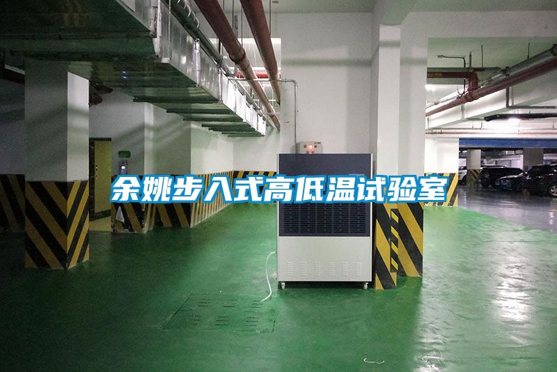 欧美黄色性爱视频网站 余姚步入式高低温试验室