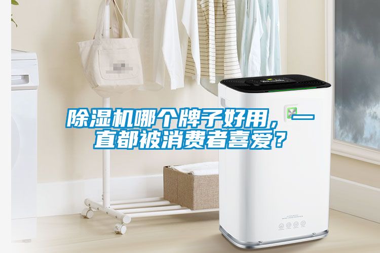 欧美成色手机在线观看 除湿机哪个牌子好用，一直都被消费者喜爱？