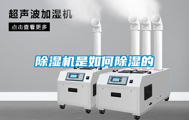 欧美成色手机在线观看 除湿机是如何除湿的