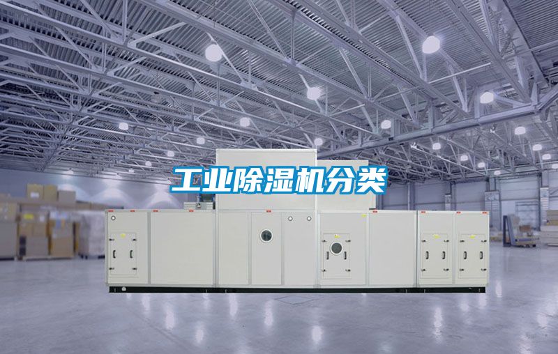 欧美成色手机在线观看 工业除湿机分类
