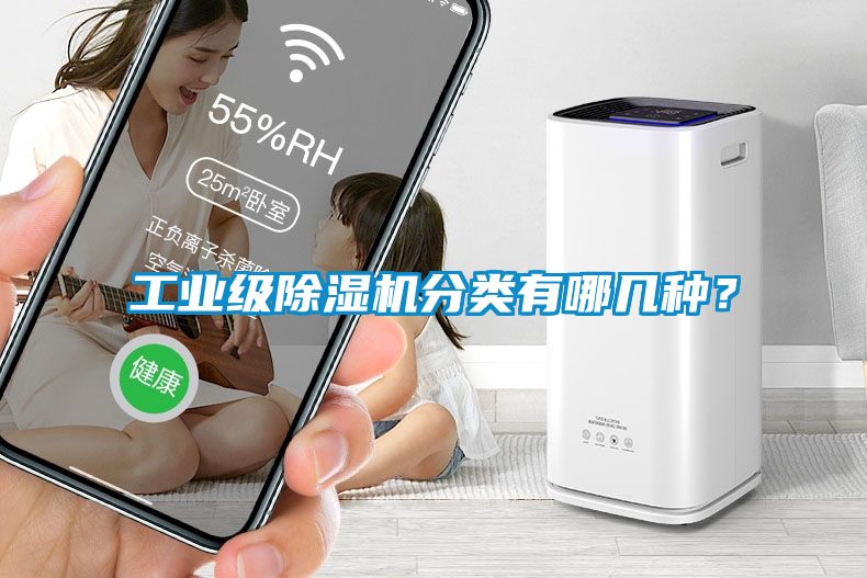 欧美成色手机在线观看 工业级除湿机分类有哪几种？