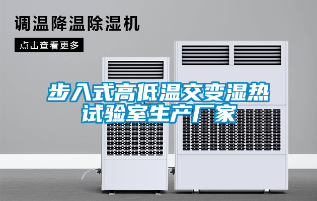 欧美黄色电影在线播放 步入式高低温交变湿热试验室生产厂家