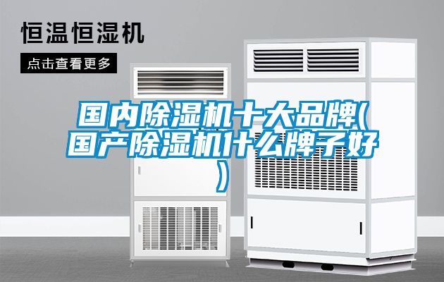 欧美黄色电影在线播放 国内除湿机十大品牌(国产除湿机什么牌子好)