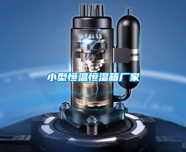 欧美黄色性爱视频网站 小型恒温恒湿箱厂家