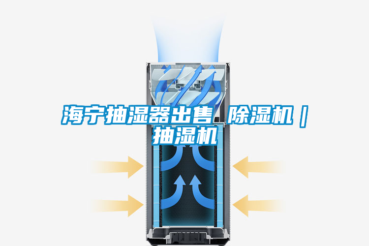 欧美成色手机在线观看 海宁抽湿器出售 除湿机｜抽湿机