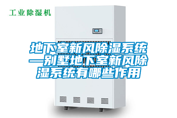 欧美成色手机在线观看 地下室新风除湿系统—别墅地下室新风除湿系统有哪些作用