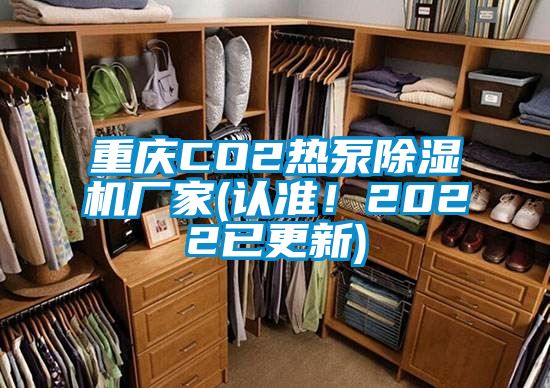 欧美黄色性爱视频网站 重庆CO2热泵除湿机厂家(认准！2022已更新)