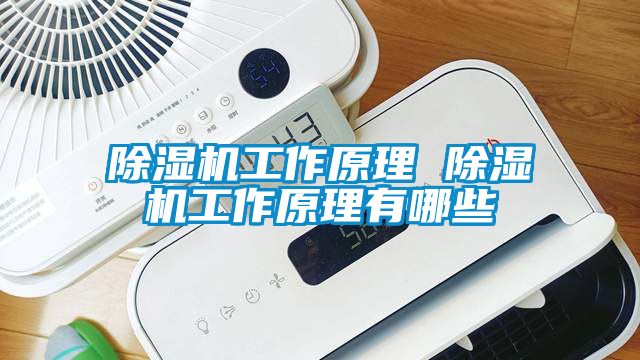 欧美黄色性爱视频网站 除湿机工作原理 除湿机工作原理有哪些