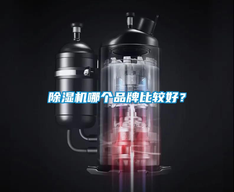欧美黄色性爱视频网站 除湿机哪个品牌比较好？