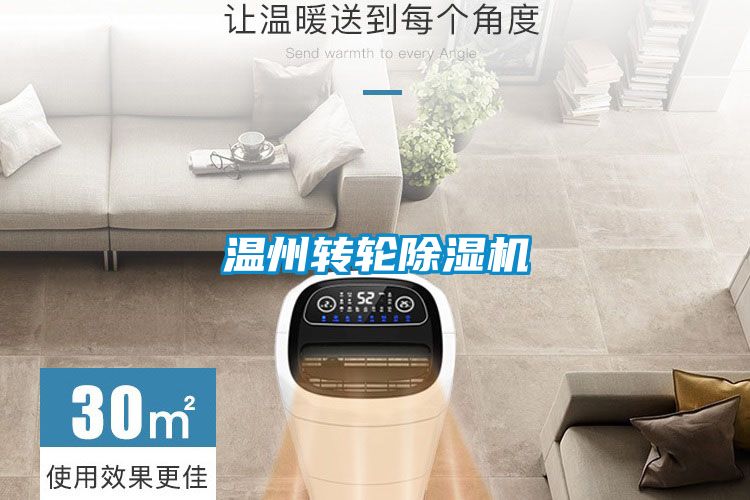 欧美黄色性爱视频网站 温州转轮除湿机