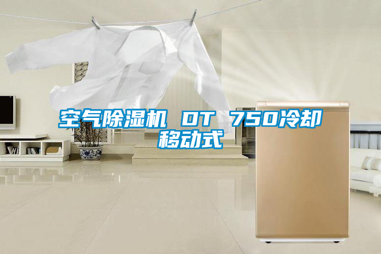 欧美黄色电影在线播放 空气除湿机 DT 750冷却移动式