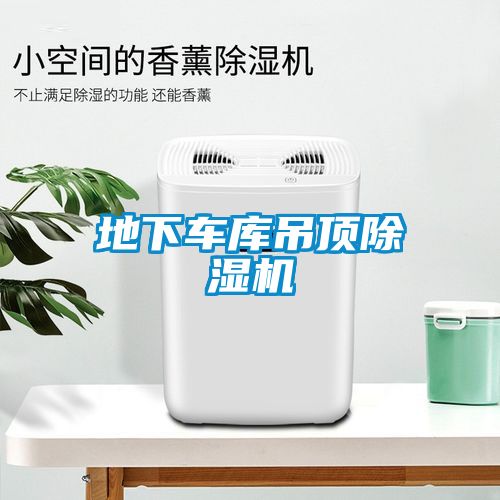 欧美成色手机在线观看 地下车库吊顶除湿机