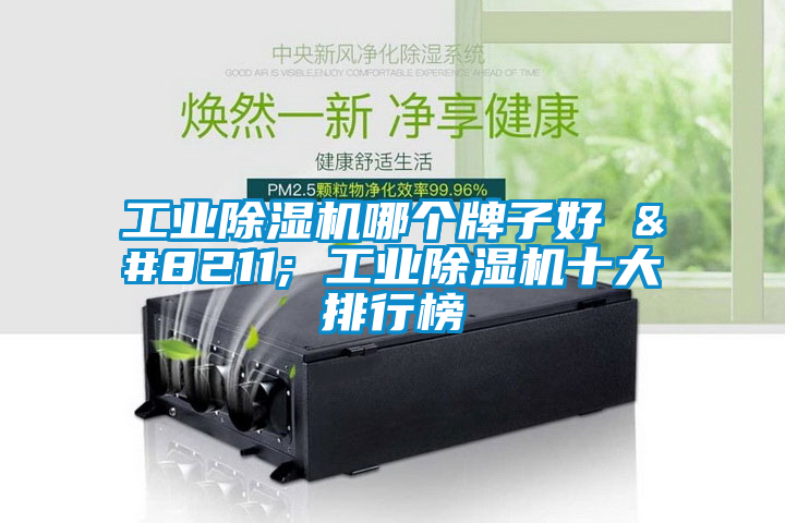 欧美黄色性爱视频网站 工业除湿机哪个牌子好 – 工业除湿机十大排行榜