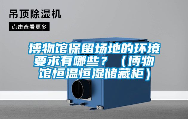 欧美黄色电影在线播放 博物馆保留场地的环境要求有哪些？（博物馆恒温恒湿储藏柜）