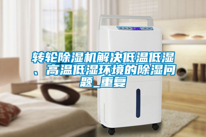 欧美黄色电影在线播放 转轮除湿机解决低温低湿、高温低湿环境的除湿问题_重复