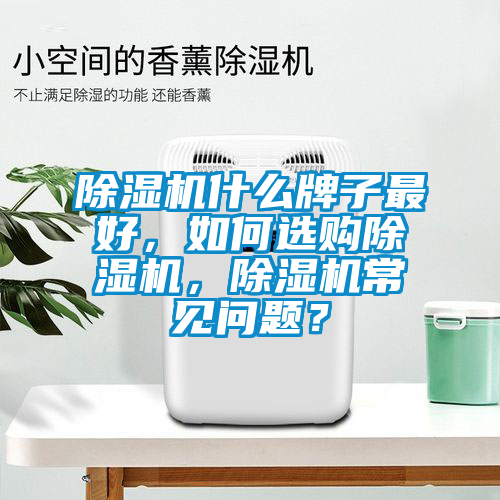 欧美黄色性爱视频网站 除湿机什么牌子最好，如何选购除湿机，除湿机常见问题？