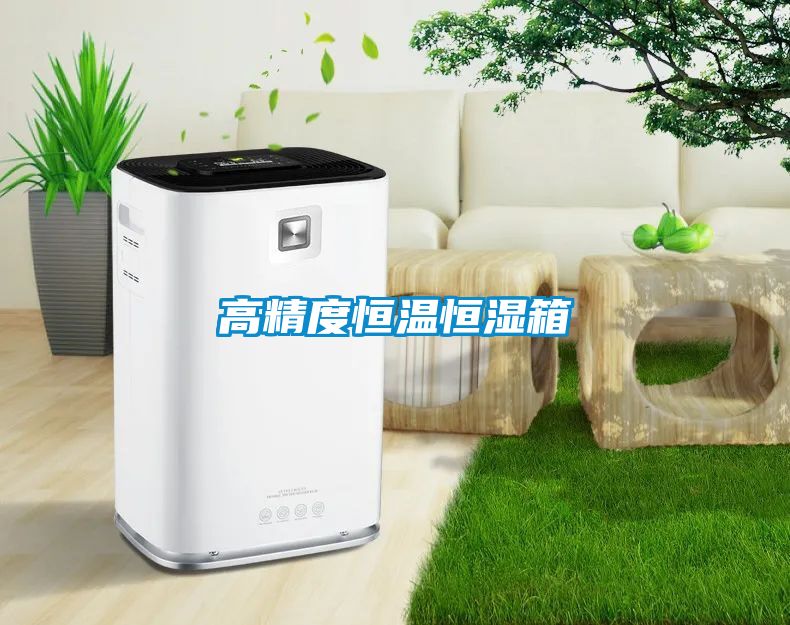 欧美黄色性爱视频网站 高精度恒温恒湿箱