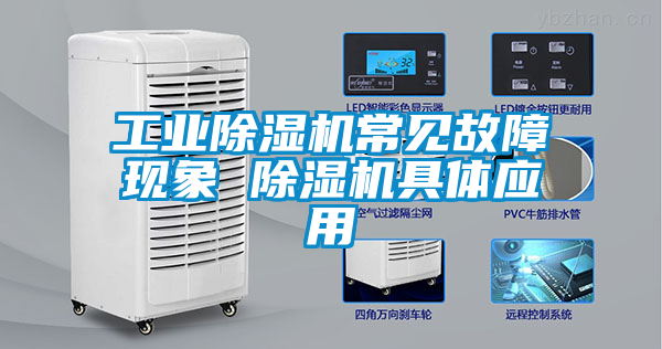 欧美黄色性爱视频网站 工业除湿机常见故障现象 除湿机具体应用